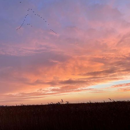 Deichkoje12 Direkt Am Eiderdeich Nur 7 Km Bis Zur Nordsee Und 20 Min Bis Sankt Peter Ording Tonning Bagian luar foto