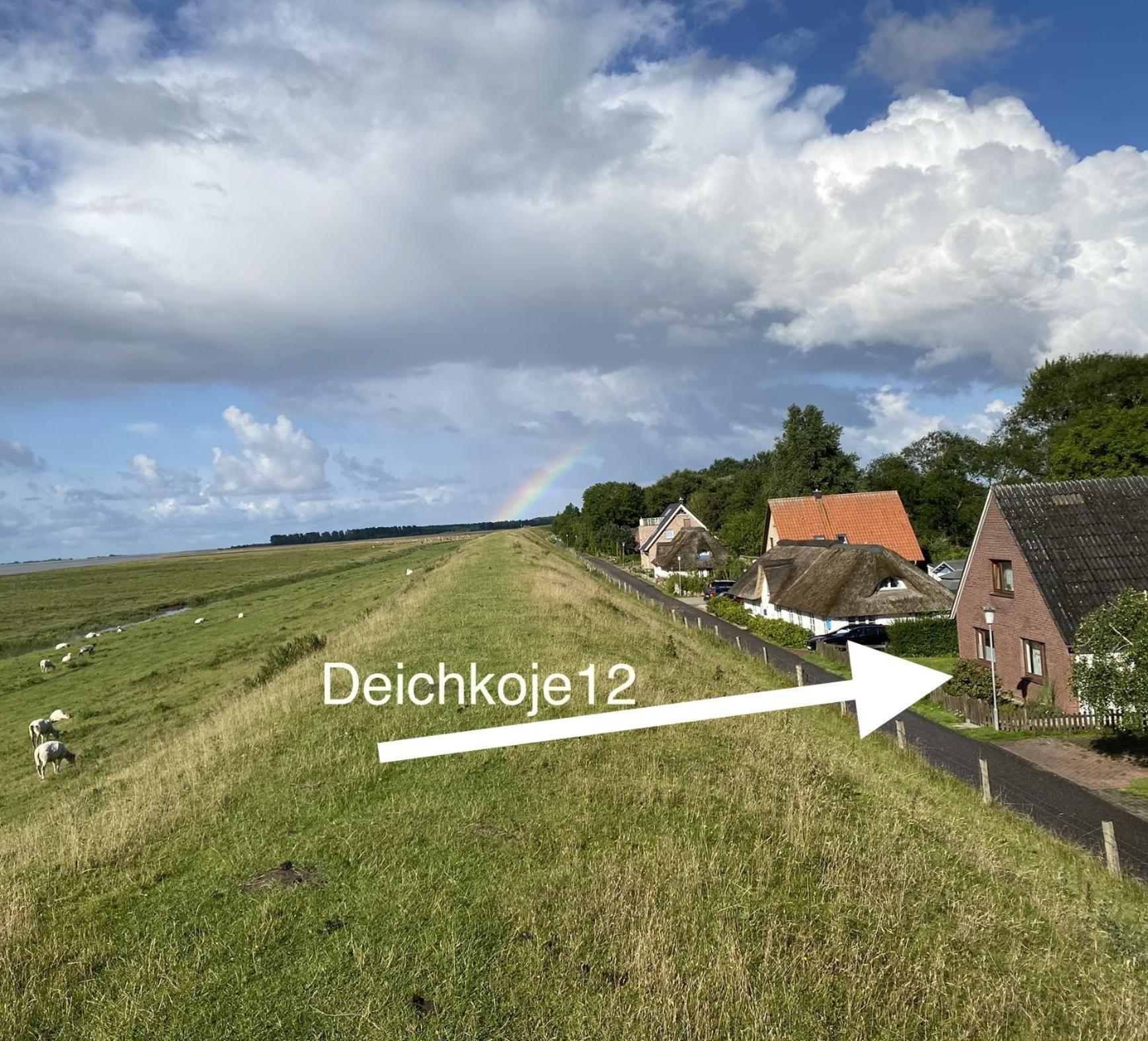 Deichkoje12 Direkt Am Eiderdeich Nur 7 Km Bis Zur Nordsee Und 20 Min Bis Sankt Peter Ording Tonning Bagian luar foto